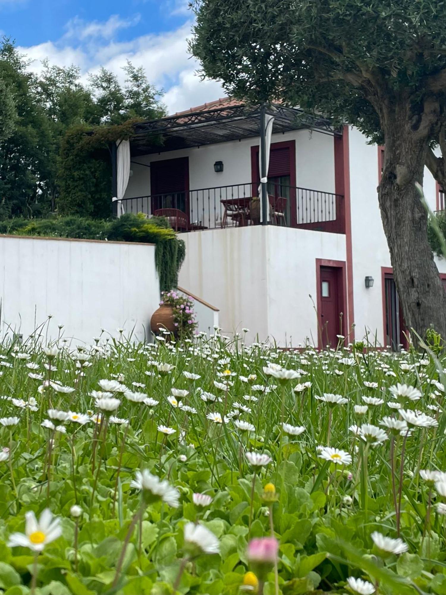 Quinta Da Asneira Apartment Montemor-o-Novo Exterior photo